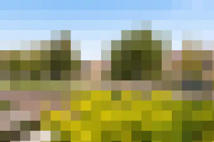 Hooftlaantje 106 Hendrik-Ido-Ambacht thumbnail 7
