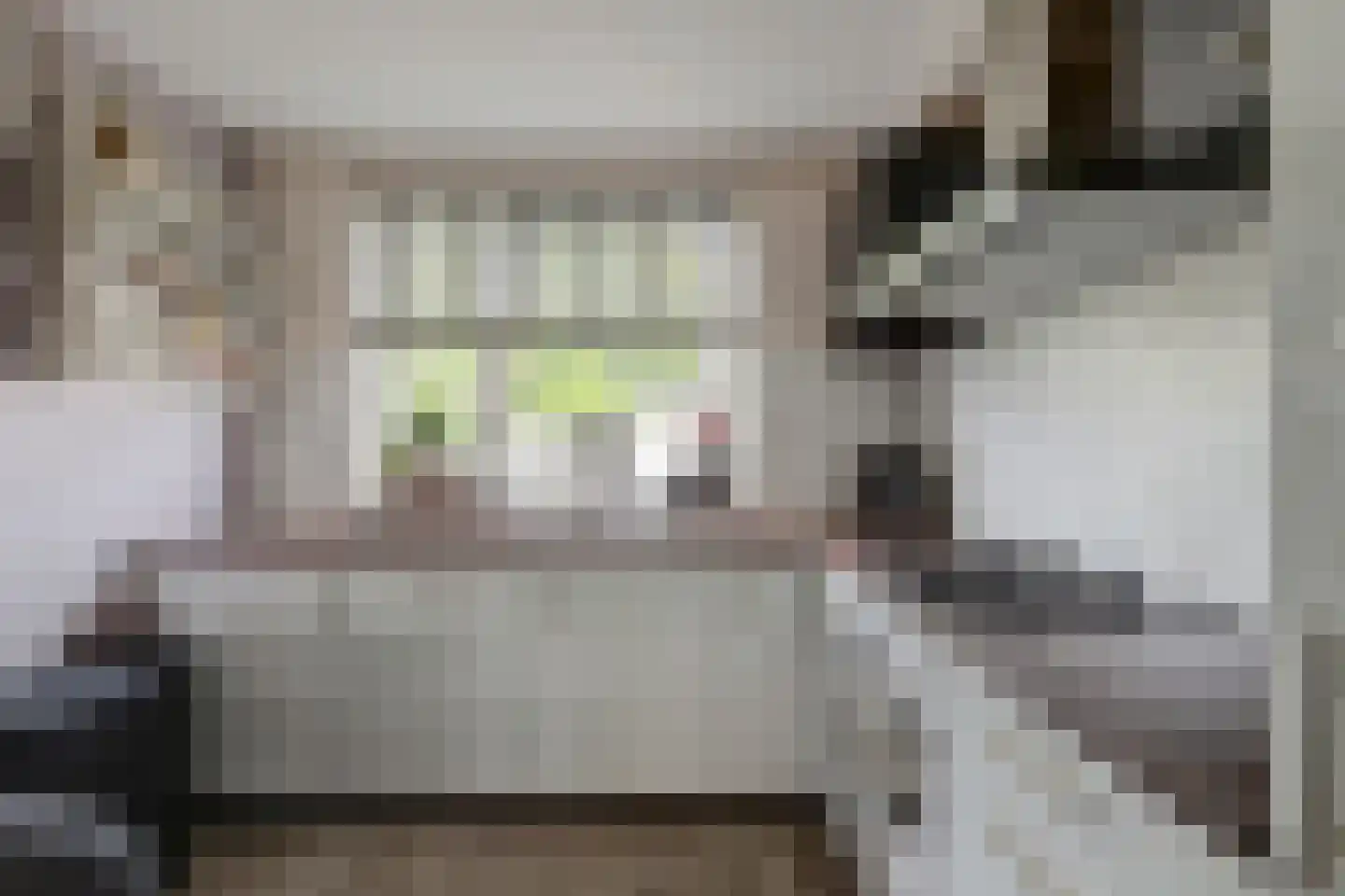 Hooftlaantje 118 Hendrik-Ido-Ambacht thumbnail 18