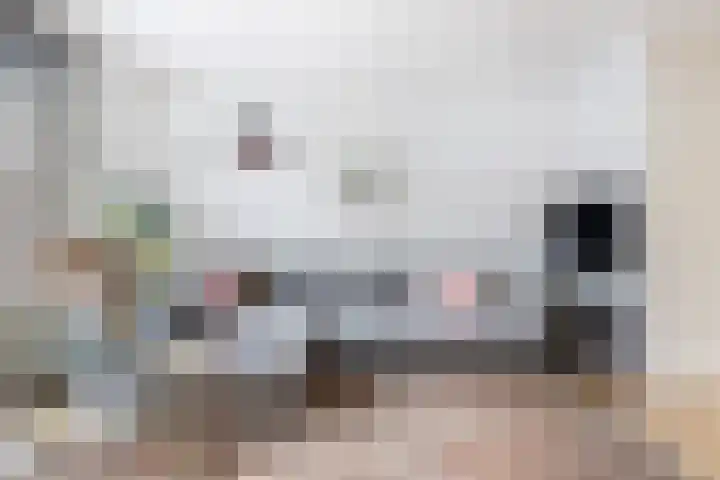 Hooftlaantje 120 Hendrik-Ido-Ambacht thumbnail 11