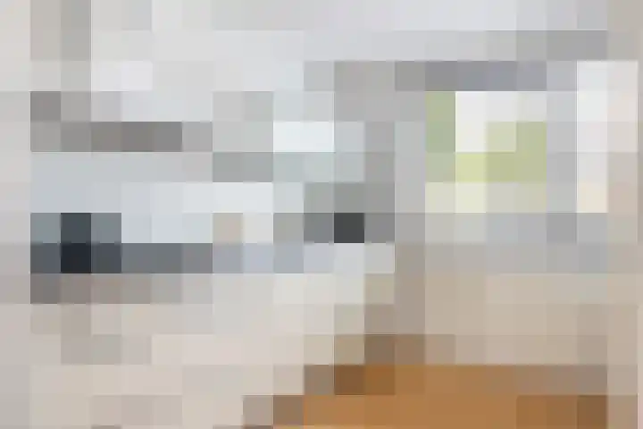 Hooftlaantje 120 Hendrik-Ido-Ambacht thumbnail 13