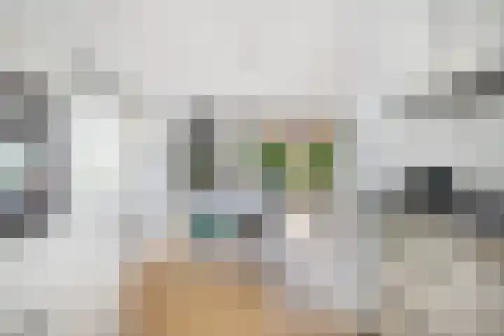 Hooftlaantje 120 Hendrik-Ido-Ambacht thumbnail 16