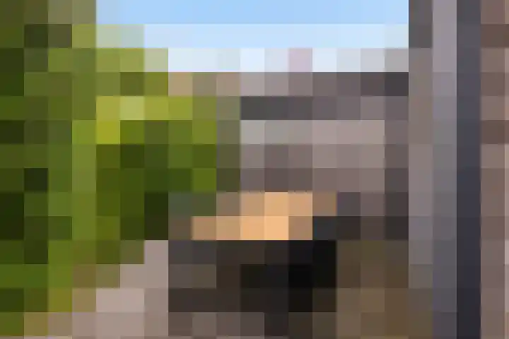 Hooftlaantje 120 Hendrik-Ido-Ambacht thumbnail 17