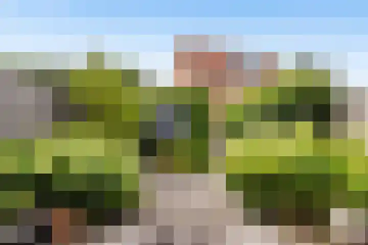 Hooftlaantje 120 Hendrik-Ido-Ambacht thumbnail 18