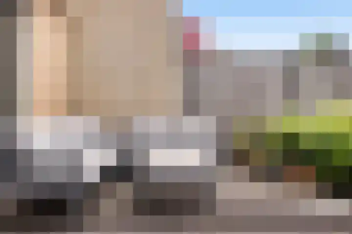Hooftlaantje 120 Hendrik-Ido-Ambacht thumbnail 19