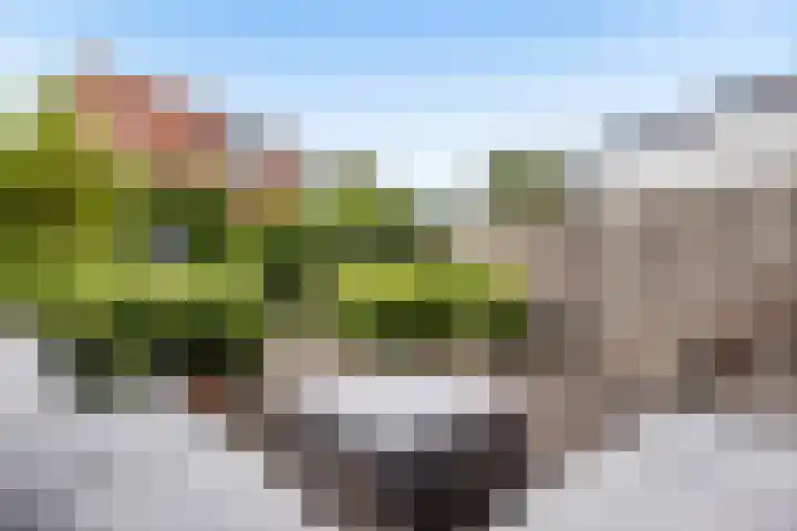 Hooftlaantje 120 Hendrik-Ido-Ambacht thumbnail 20