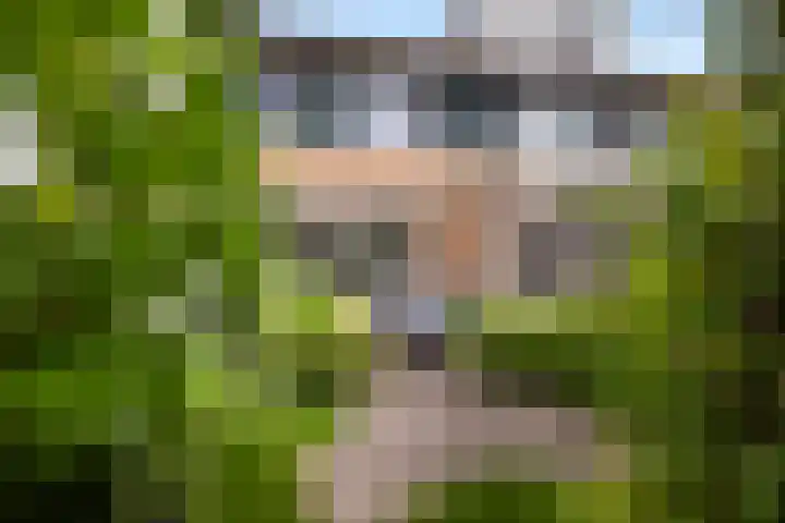 Hooftlaantje 120 Hendrik-Ido-Ambacht thumbnail 22