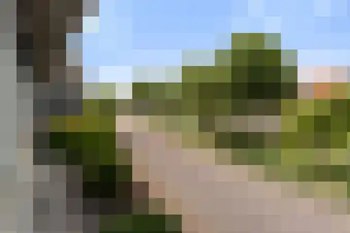 Hooftlaantje 120 Hendrik-Ido-Ambacht thumbnail 40