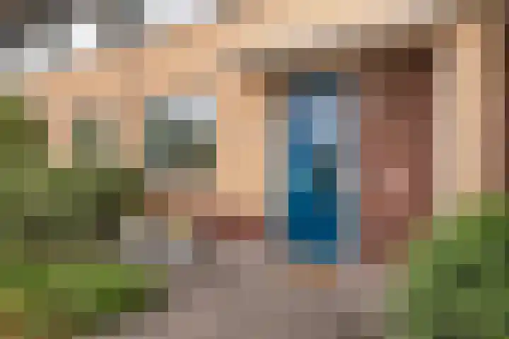 Hooftlaantje 120 Hendrik-Ido-Ambacht thumbnail 6