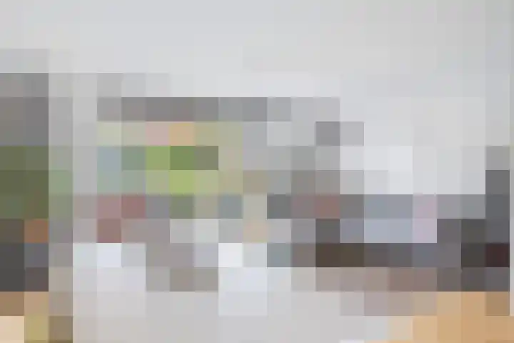 Hooftlaantje 120 Hendrik-Ido-Ambacht thumbnail 8