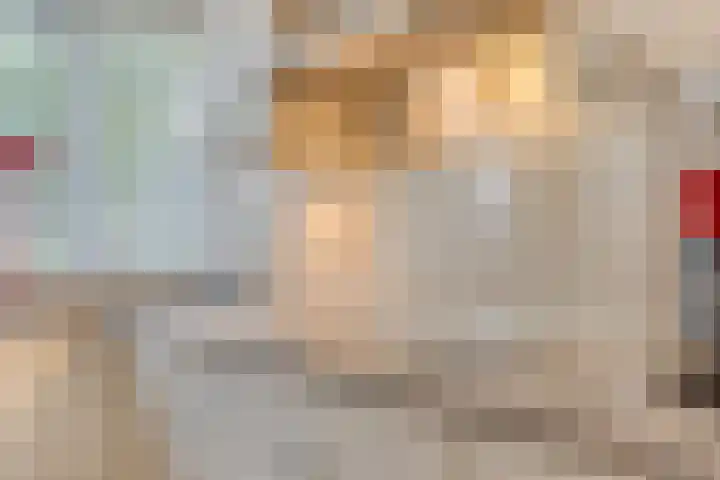 Hooftlaantje 36 Hendrik-Ido-Ambacht thumbnail 13