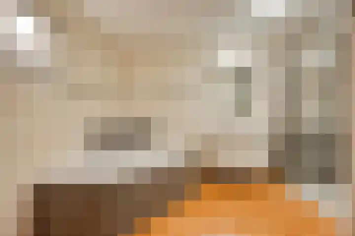 Hooftlaantje 36 Hendrik-Ido-Ambacht thumbnail 16