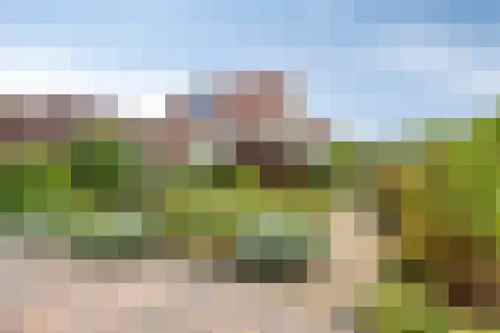 Hooftlaantje 36 Hendrik-Ido-Ambacht thumbnail 26