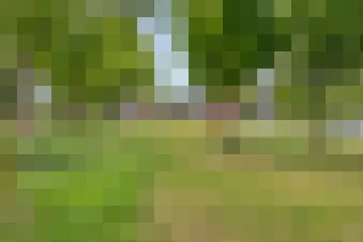 Hooftlaantje 36 Hendrik-Ido-Ambacht thumbnail 30