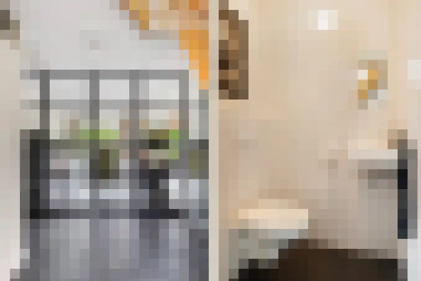 Hooftlaantje 98 Hendrik-Ido-Ambacht thumbnail 12
