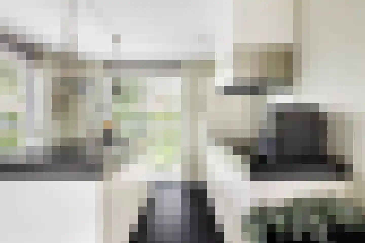 Hooftlaantje 98 Hendrik-Ido-Ambacht thumbnail 18