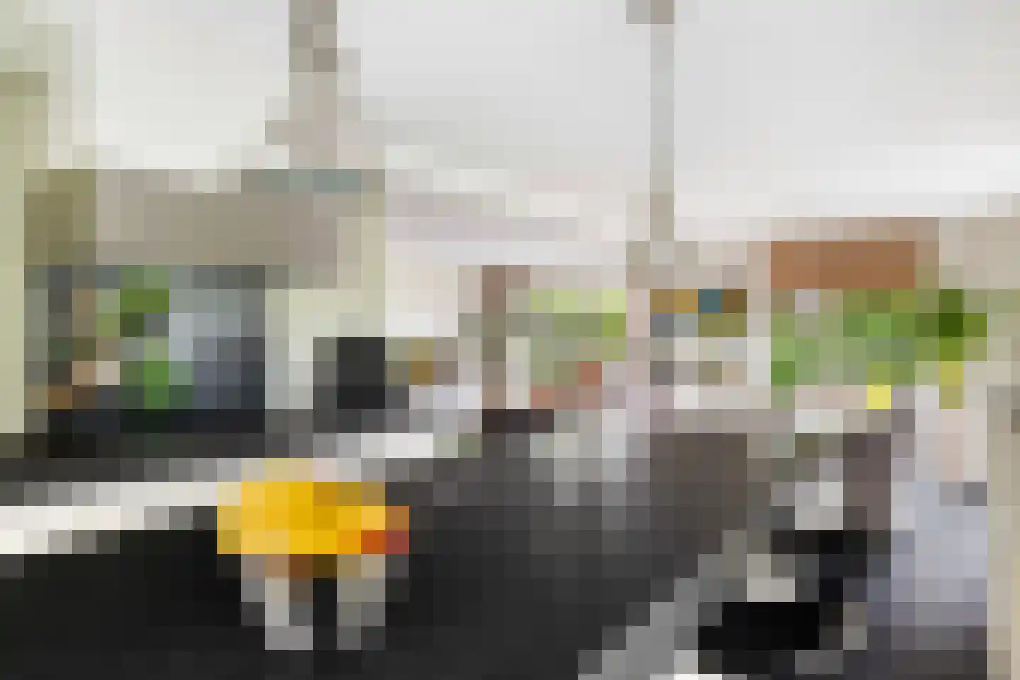 Hooftlaantje 98 Hendrik-Ido-Ambacht thumbnail 21