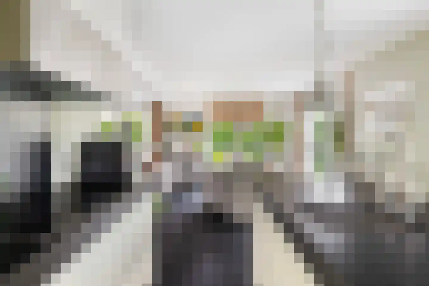 Hooftlaantje 98 Hendrik-Ido-Ambacht thumbnail 22