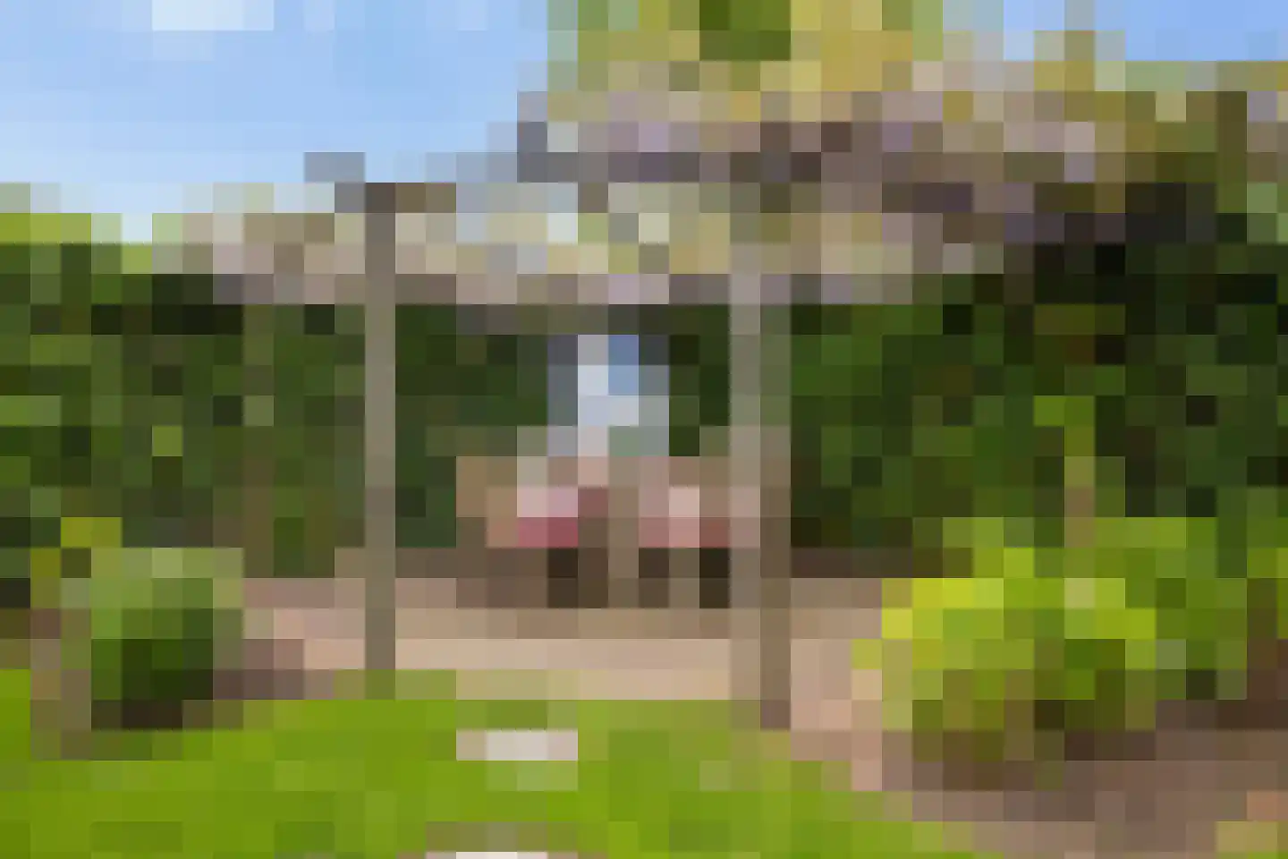 Hooftlaantje 98 Hendrik-Ido-Ambacht thumbnail 32