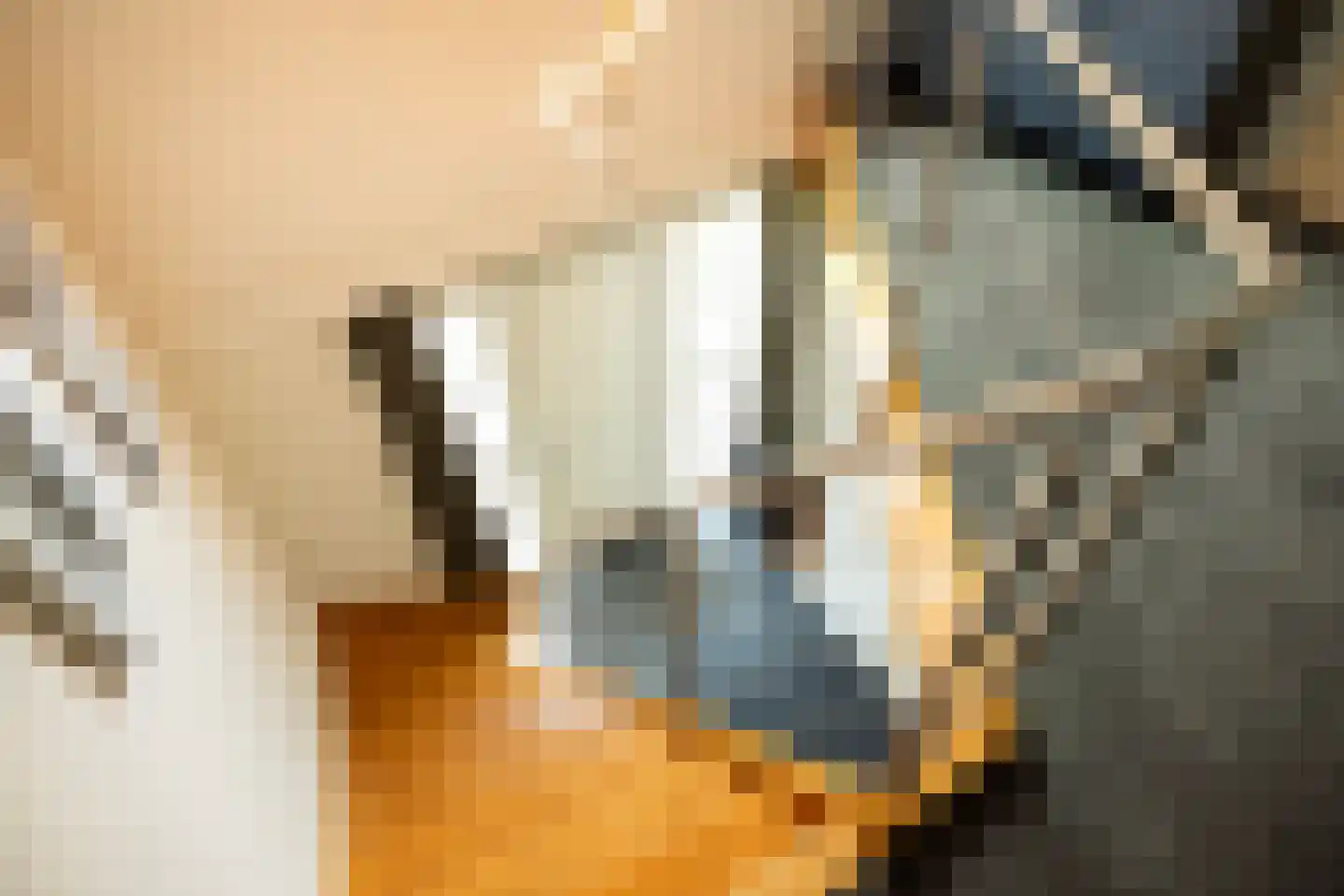 Hooftlaantje 98 Hendrik-Ido-Ambacht thumbnail 37