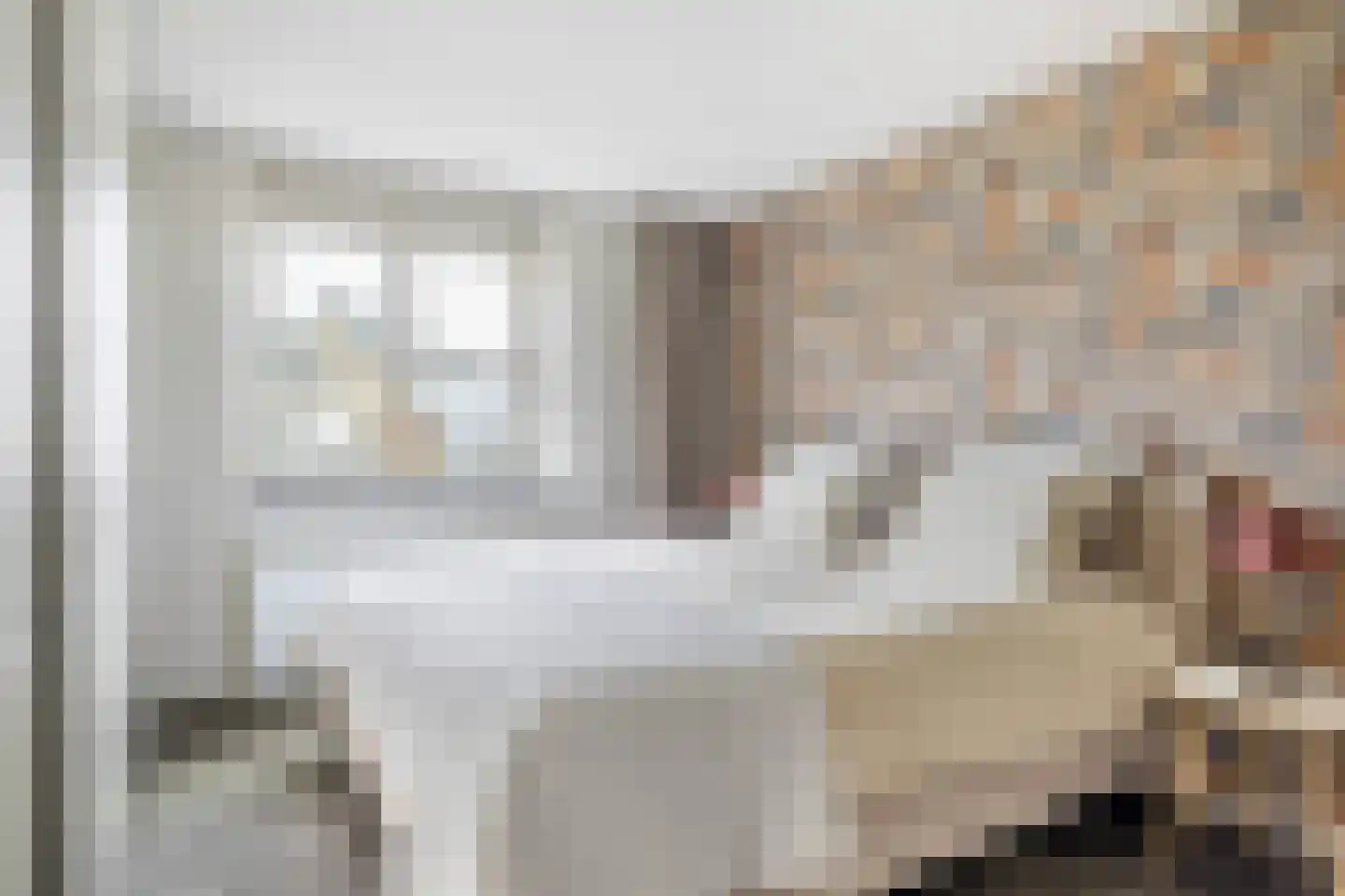Hooftlaantje 98 Hendrik-Ido-Ambacht thumbnail 46
