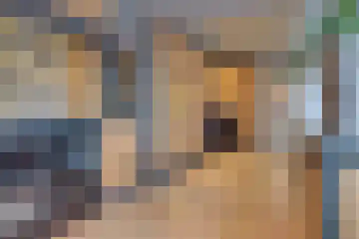 Hooftlanden 12 Werkendam thumbnail 12