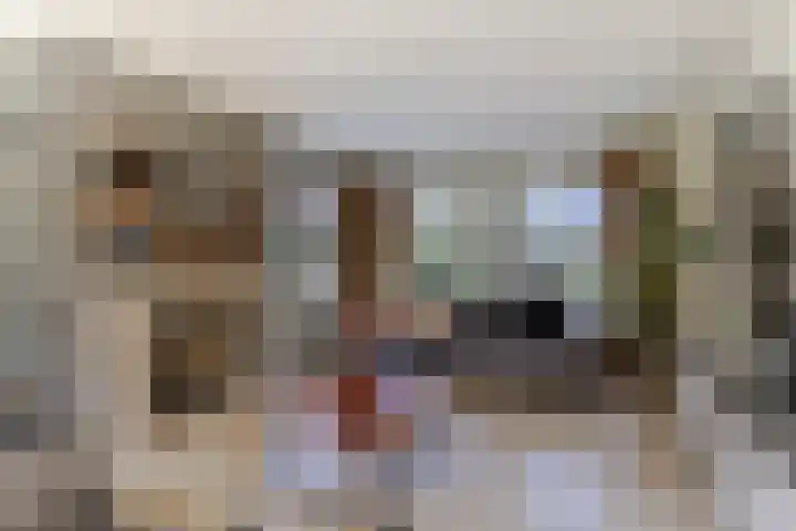 Hooftlanden 21 Werkendam thumbnail 17