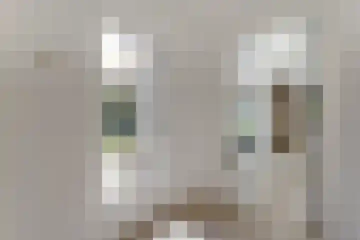Hooftlanden 21 Werkendam thumbnail 31