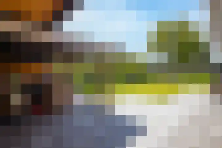 Hooftlanden 21 Werkendam thumbnail 58