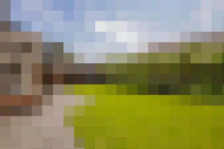 Hooftlanden 21 Werkendam thumbnail 59