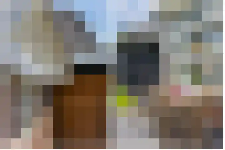 Hooftlanden 21 Werkendam thumbnail 64