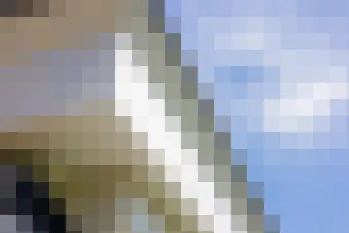 Hooftlanden 21 Werkendam thumbnail 65