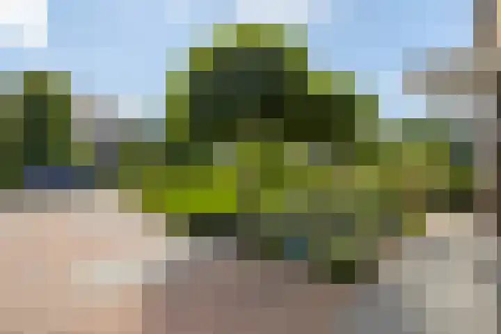 Hooftlanden 24 Werkendam thumbnail 11