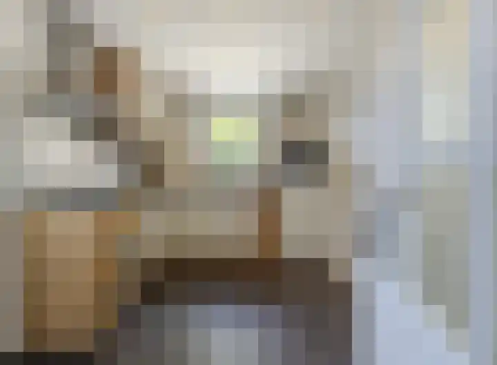 Hooftlanden 24 Werkendam thumbnail 20