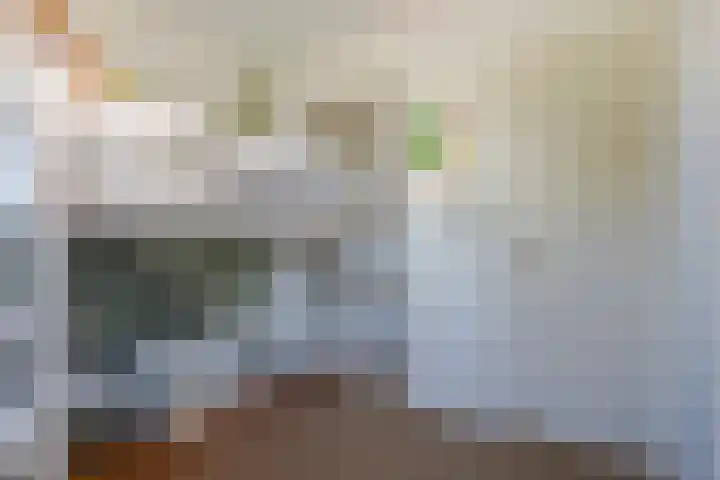 Hooftlanden 24 Werkendam thumbnail 33
