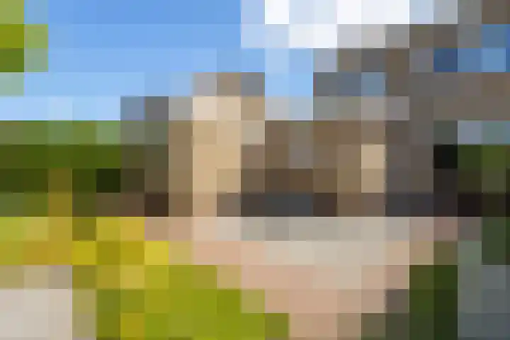 Hooftlanden 24 Werkendam thumbnail 36