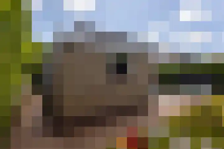 Hooftlanden 24 Werkendam thumbnail 37