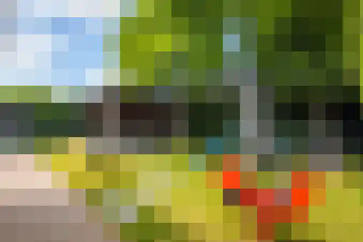 Hooftlanden 24 Werkendam thumbnail 41
