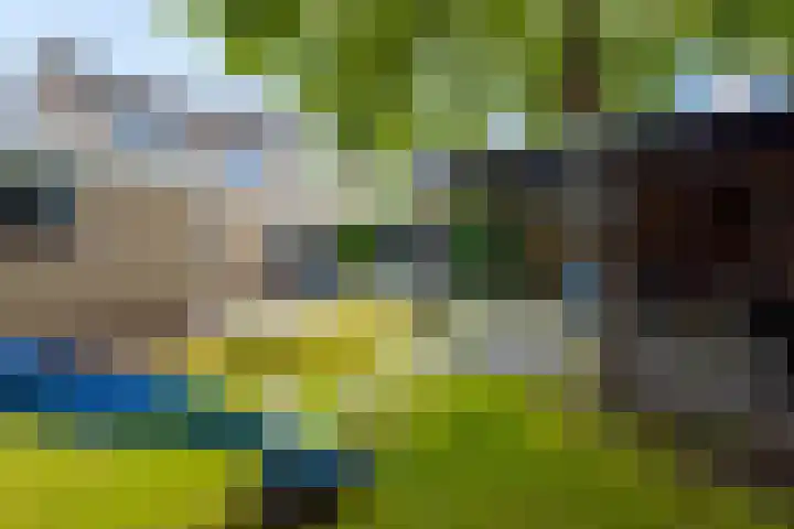 Hooftlanden 24 Werkendam thumbnail 42