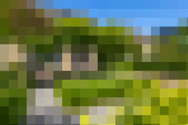 Hooftlanden 24 Werkendam thumbnail 8