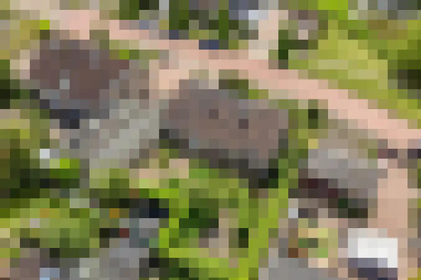 Hooftlanden 32 Werkendam thumbnail 24