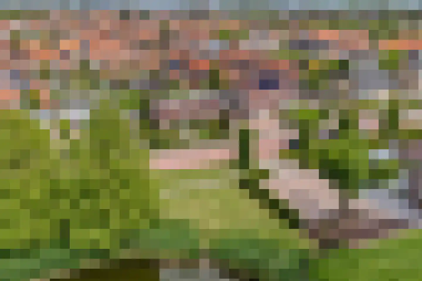 Hooftlanden 32 Werkendam thumbnail 4