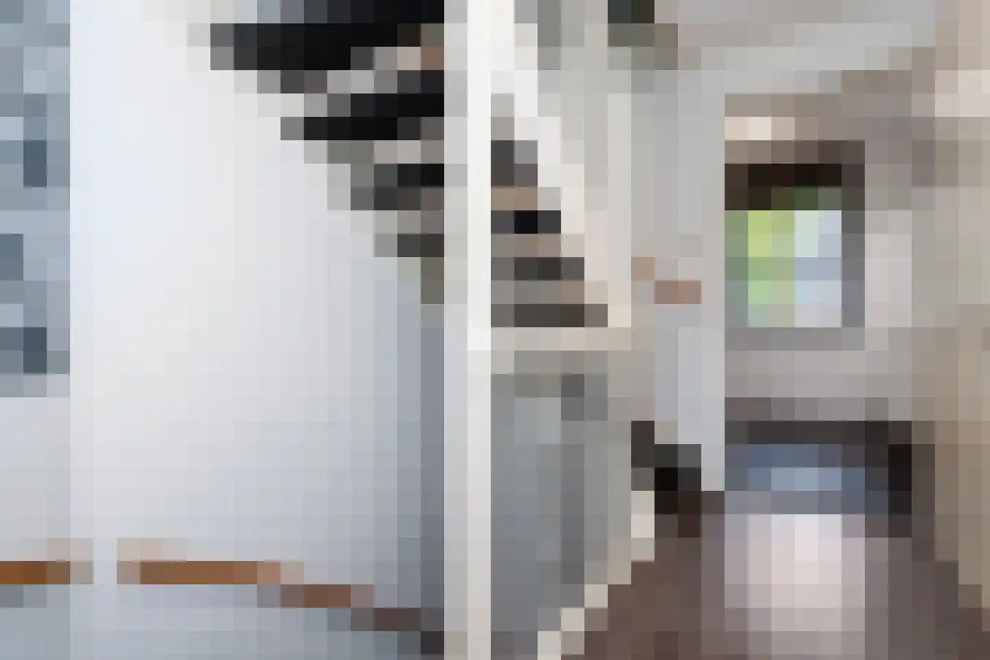 Hooftmanlaan 26 Alblasserdam thumbnail 14