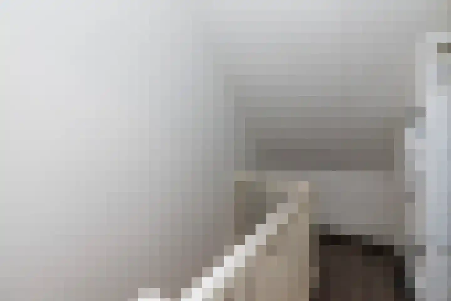 Hooftmanlaan 26 Alblasserdam thumbnail 25