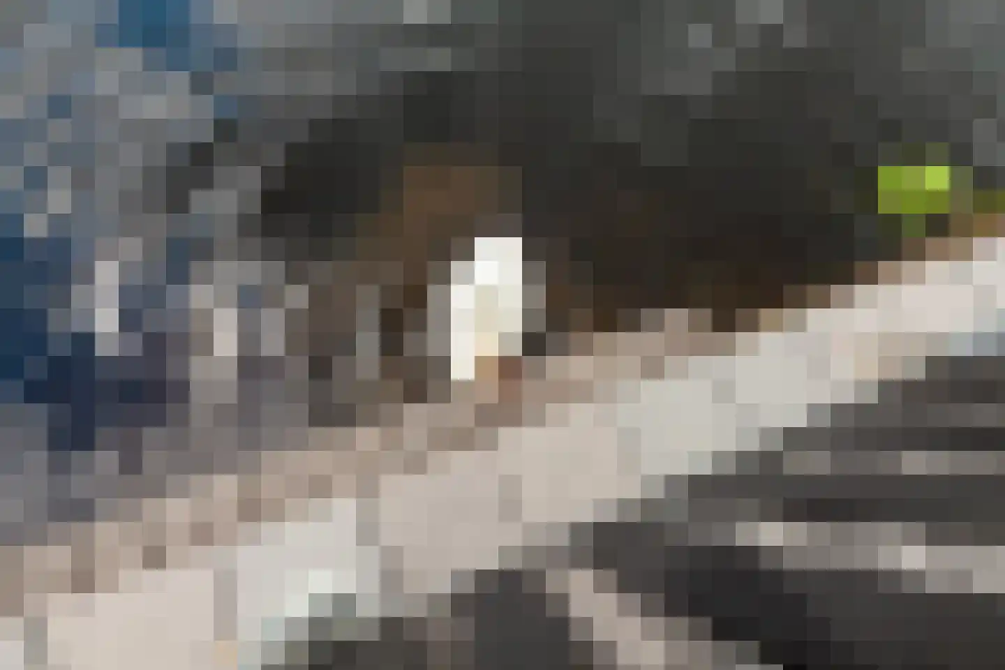 Hooftmanlaan 26 Alblasserdam thumbnail 33
