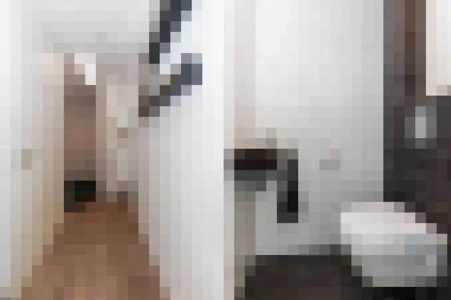 Hooftmanlaan 26 Alblasserdam thumbnail 4