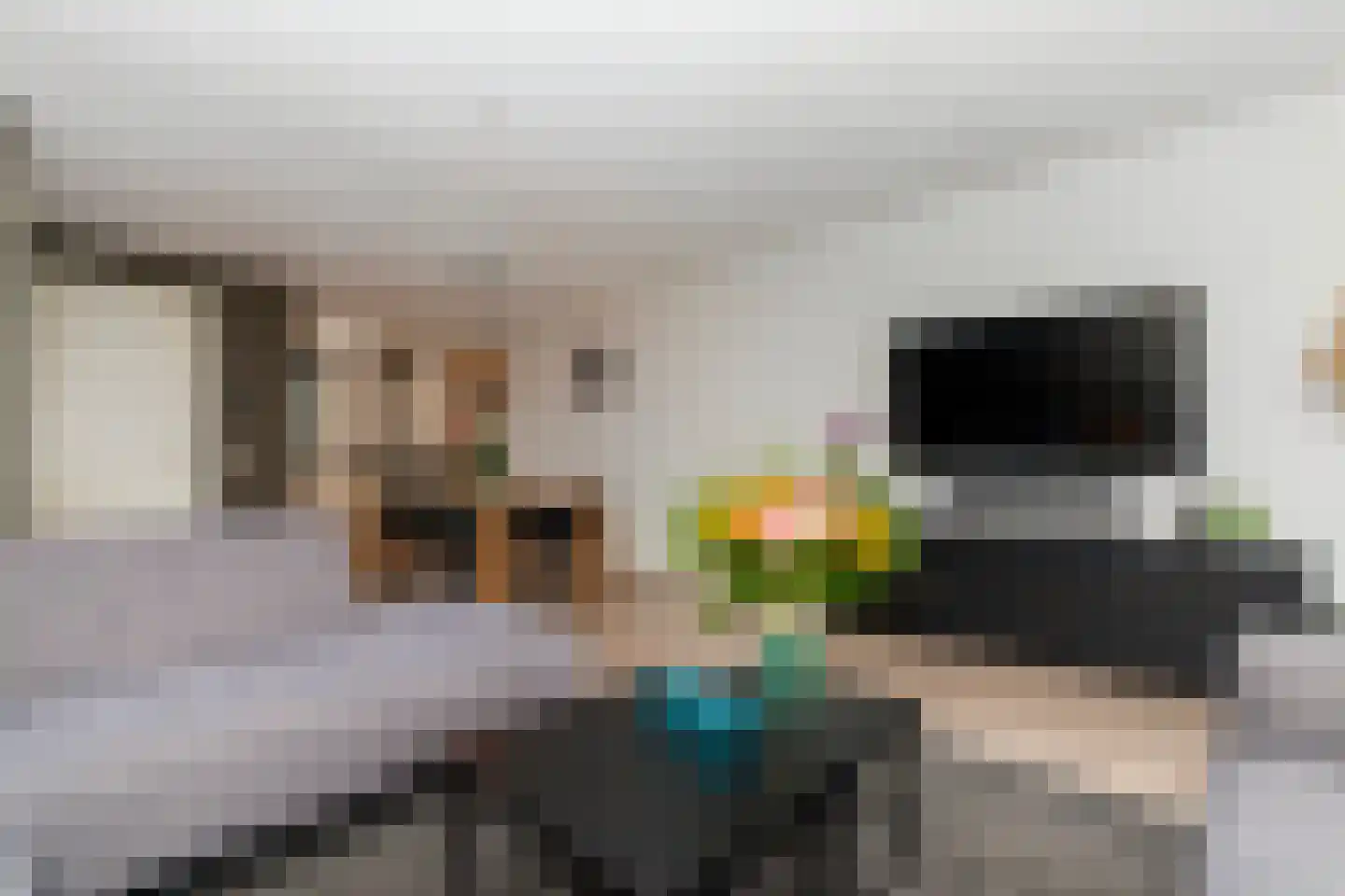 Hooftmanlaan 26 Alblasserdam thumbnail 8