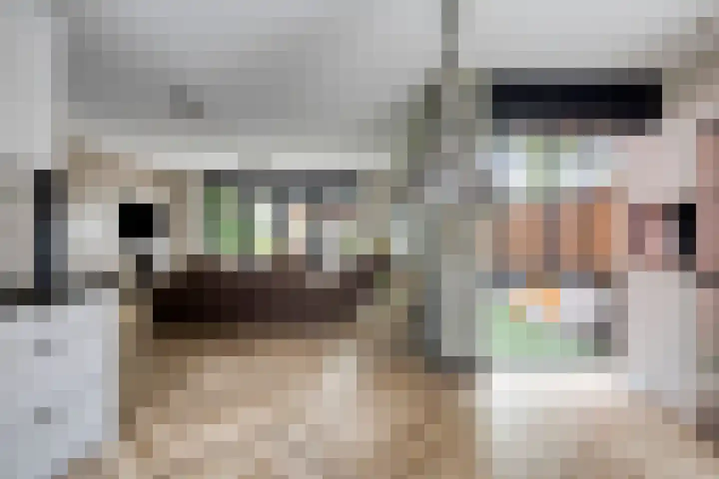 Hooftmanlaan 54 Alblasserdam thumbnail 16