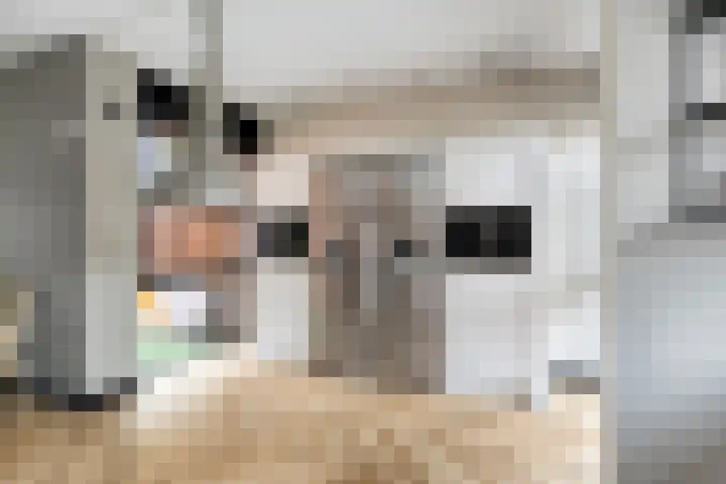 Hooftmanlaan 54 Alblasserdam thumbnail 19