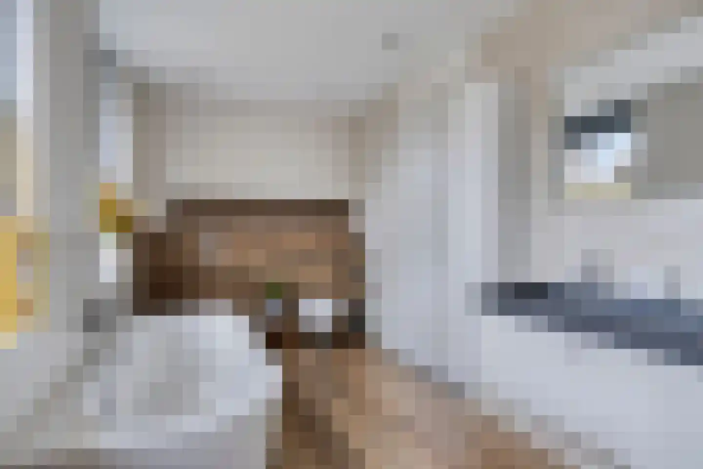 Hooftmanlaan 54 Alblasserdam thumbnail 30