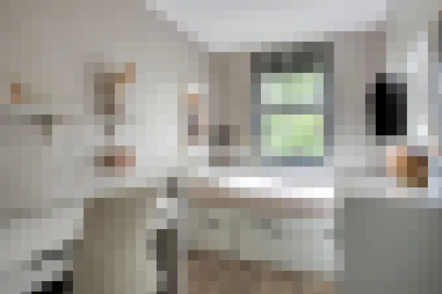 Hooftmanlaan 54 Alblasserdam thumbnail 34